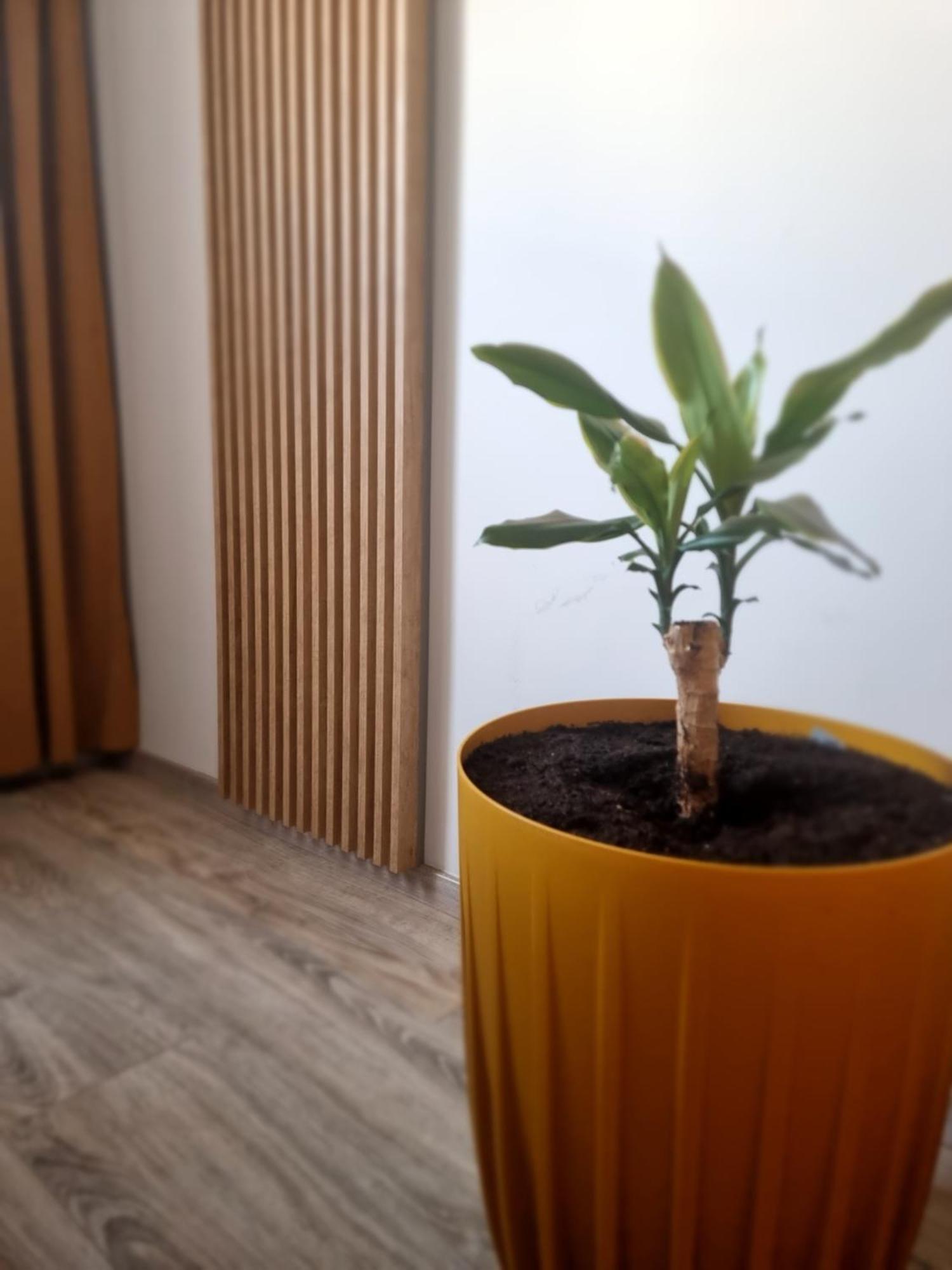 Apartament Lux Lemon Jelenia Góra Exterior foto